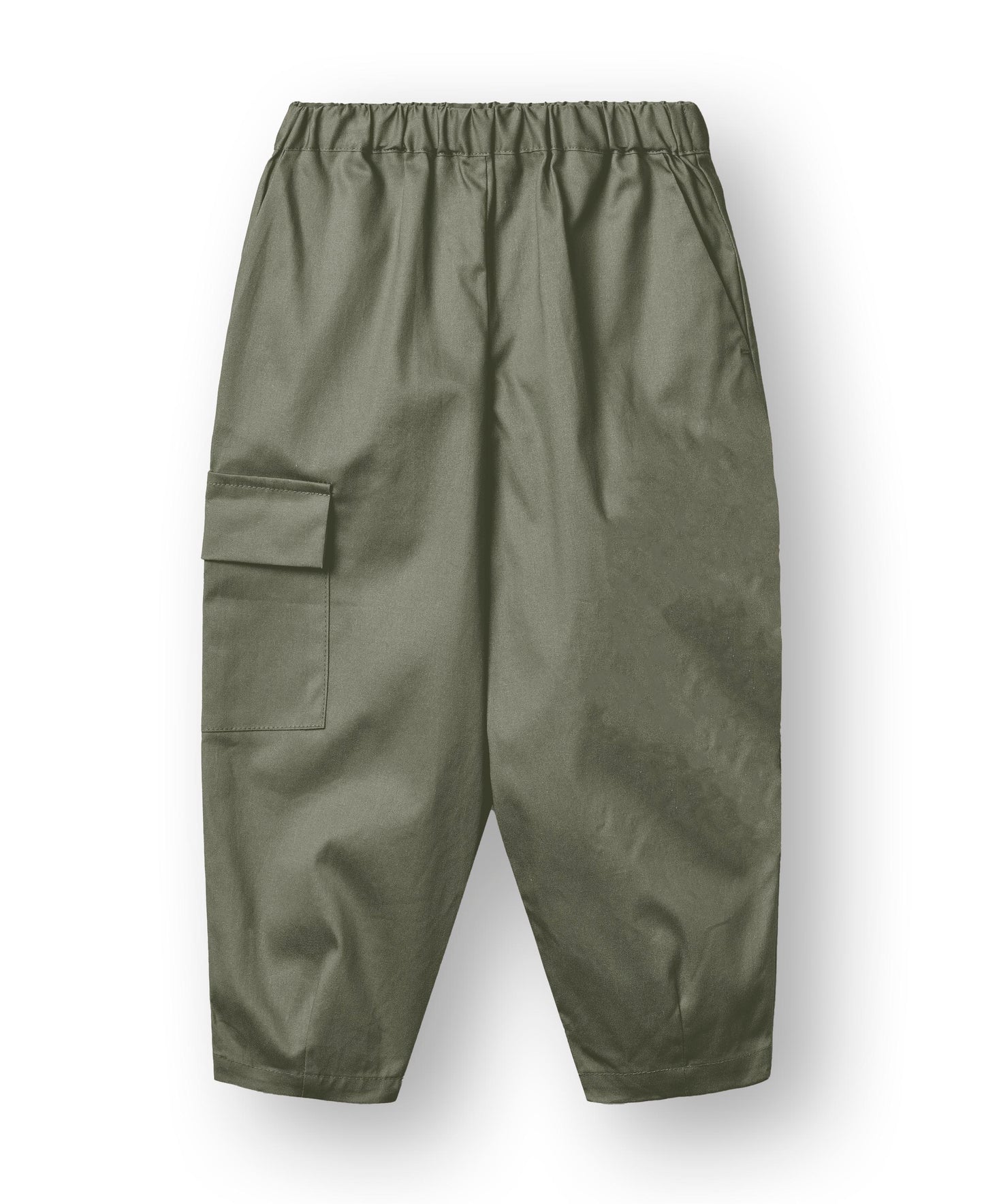 Fliink Karl Johan Cargo Pants Beetle