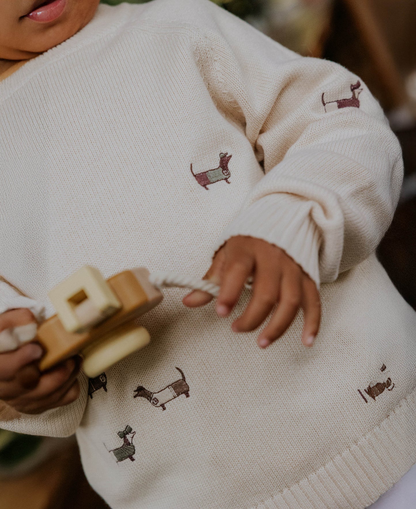 FLIINK - MAHDI DOG PULLOVER