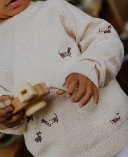 FLIINK - MAHDI DOG PULLOVER